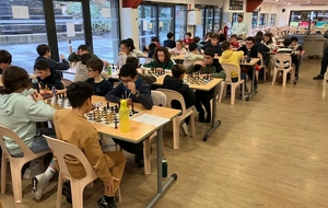 Championnats de ligue jeunes (février 2026)